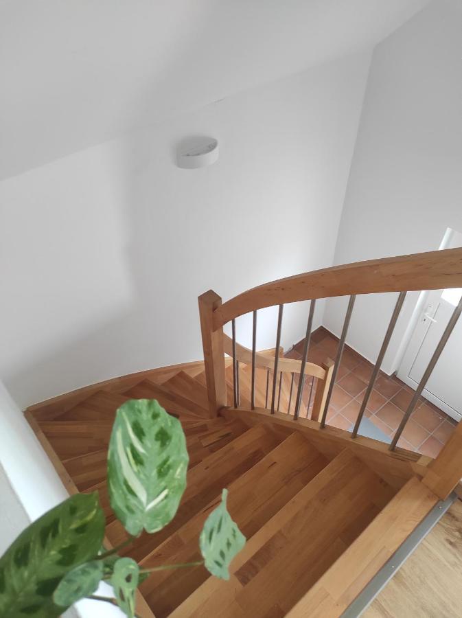 Ferienwohnung Im Distelweg Scheid  Экстерьер фото
